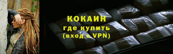 шишки Нязепетровск
