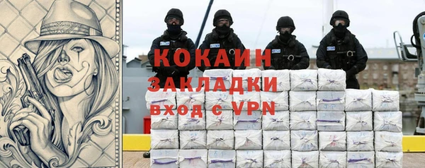 шишки Нязепетровск