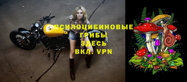 шишки Нязепетровск