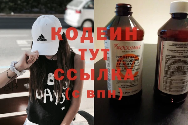 шишки Нязепетровск