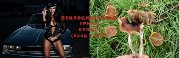 шишки Нязепетровск