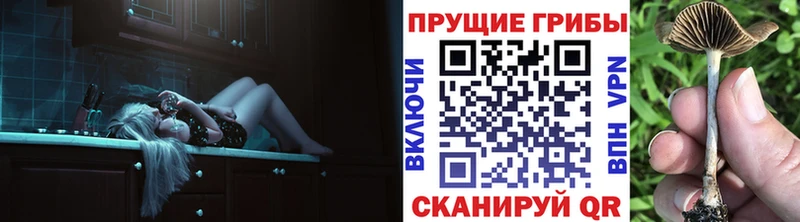 Псилоцибиновые грибы мицелий  Слюдянка 